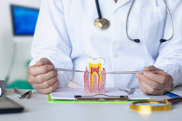 Best Emergency Dental Care for Broken or Chipped Teeth in Marshalltown, IA